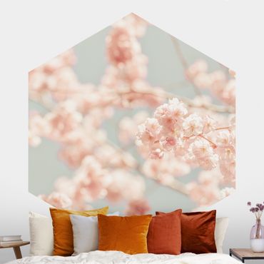 Papier peint hexagonal autocollant avec dessins - Cherry Blossom Glow