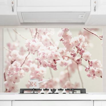 Fonds de hotte - Dancing Cherry Blossoms - Format paysage 3:2