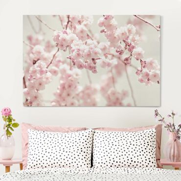 Tableau sur toile - Dancing Cherry Blossoms