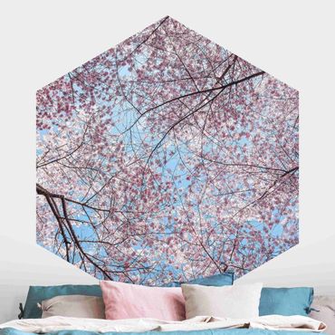 Papier peint panoramique hexagonal autocollant - Cherry Branches And Blue Skies