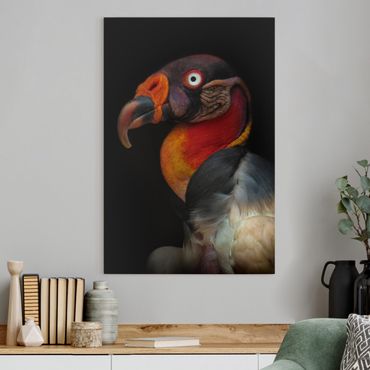 Tableau sur toile - King Vulture In Front Of Black
