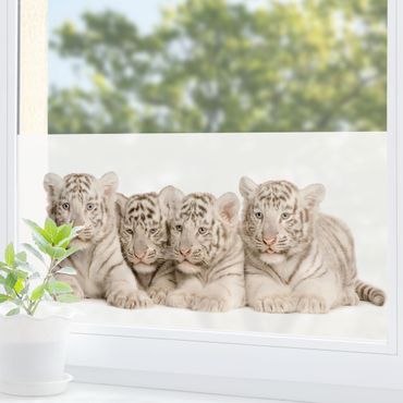Décoration pour fenêtres - Bengal Tiger Babies