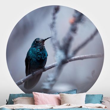 Papier peint rond autocollant - Hummingbird In Winter