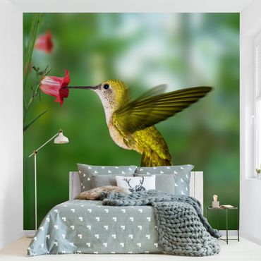 Papier peint - Hummingbird And Flower