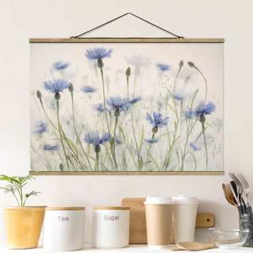 Tableau en tissu avec porte-affiche - Cornflowers And Grasses In A Field  - Format paysage 3:2