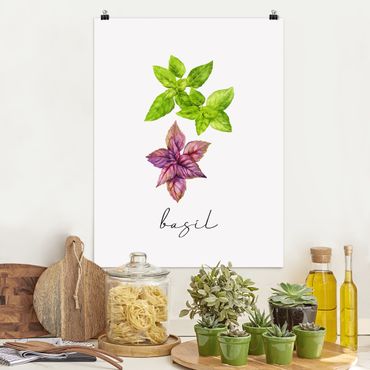 Poster - Herbs Illustration Basil