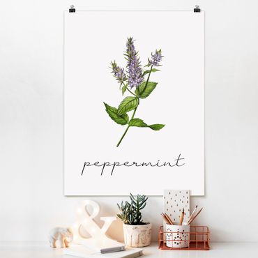 Poster - Herbs Illustration Pepper Mint