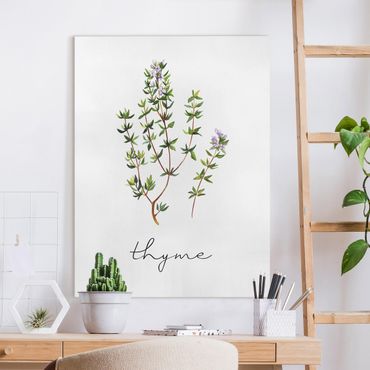Tableau sur toile - Herbs Illustration Thyme