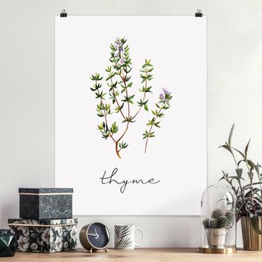 Poster - Herbs Illustration Thyme