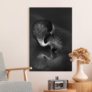 Tableau sur toile - Crowned Crane Bow Black And White