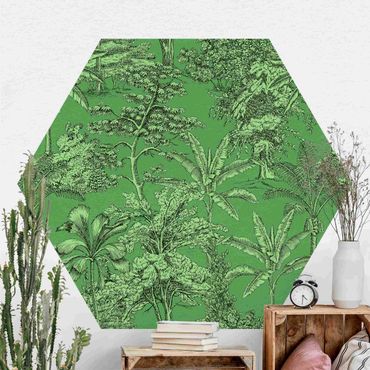 Papier peint hexagonal autocollant avec dessins - Copper Engraving Impression - Tropical Palm Trees In Green