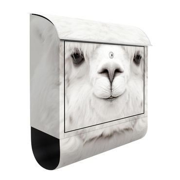 Letterbox - Smiling Alpaca