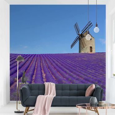 Papier peint - Lavender Scent In The Provence
