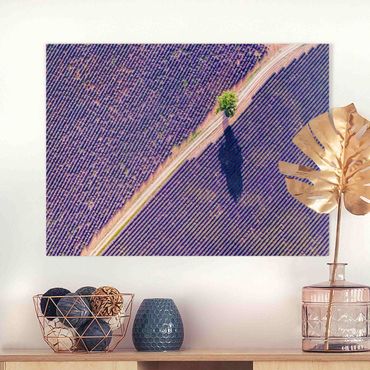 Impression sur toile - Top View Of Lavender Field