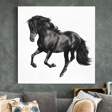 Impression sur toile - Arabian Stallion