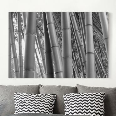Impression sur toile - Bamboo