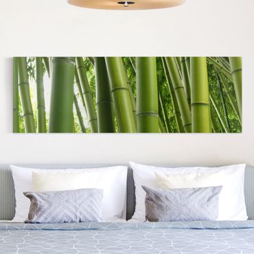 Impression sur toile - Bamboo Trees
