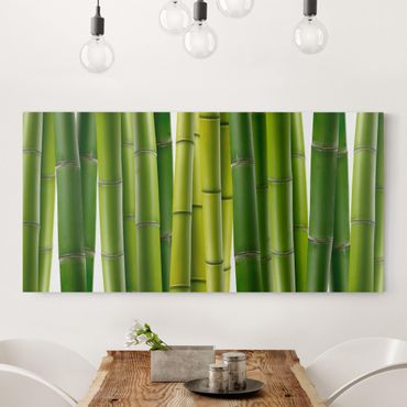 Impression sur toile - Bamboo Plants