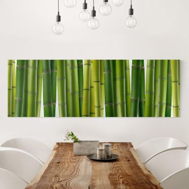 Impression sur toile - Bamboo Plants