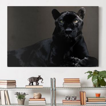 Impression sur toile - Black Puma