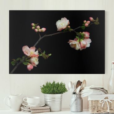 Impression sur toile - Blossoming Branch Apple Tree