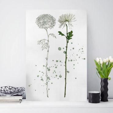 Impression sur toile - Botanical Watercolour - Dandelion