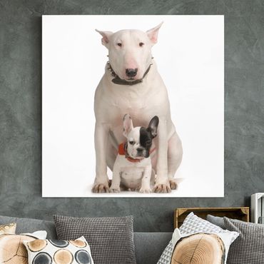 Impression sur toile - Bull Terrier and Friend