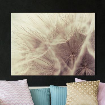Impression sur toile - Detailed Dandelion Macro Shot With Vintage Blur Effect
