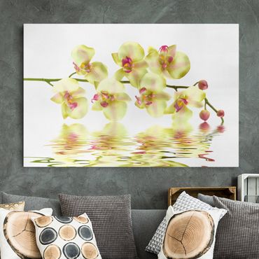 Impression sur toile - Dreamy Orchid Waters