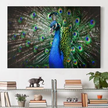 Impression sur toile - Noble Peacock