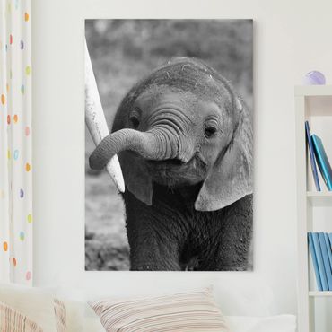 Impression sur toile - Baby Elephant