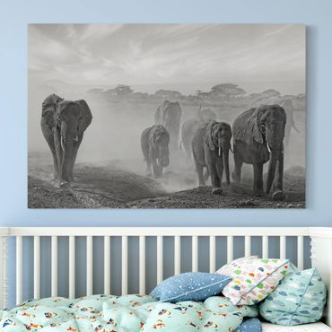 Impression sur toile - Herd Of Elephants