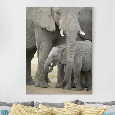 Impression sur toile - Elephant Love