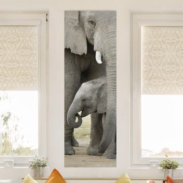 Impression sur toile - Elephant Love
