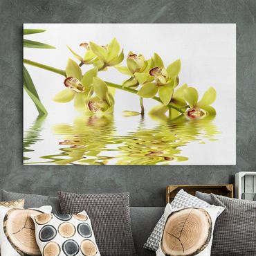 Impression sur toile - Elegant Orchid Waters