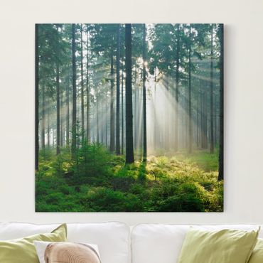 Impression sur toile - Enlightened Forest