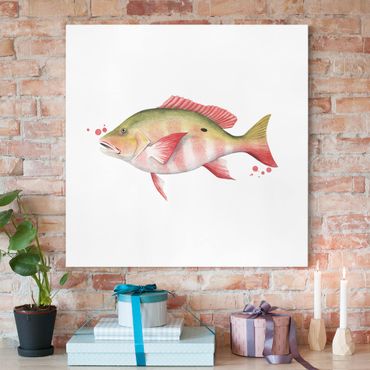Impression sur toile - Color Catch - Northern Red Snapper