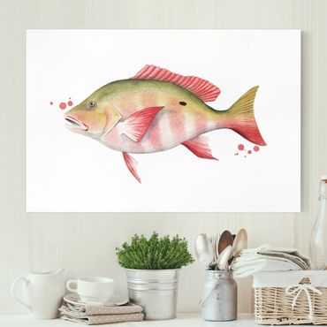 Impression sur toile - Color Catch - Northern Red Snapper