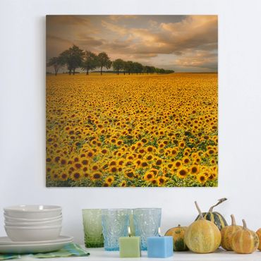 Impression sur toile - Field With Sunflowers