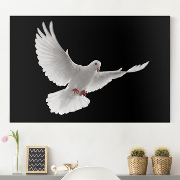 Impression sur toile - Dove Of Peace