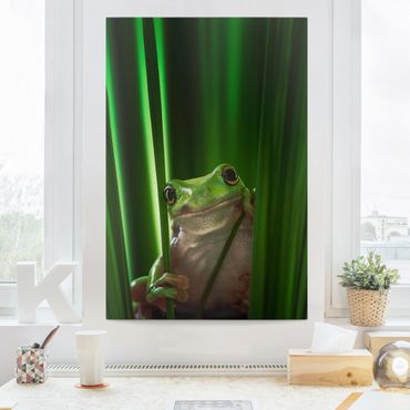 Impression sur toile - Merry Frog