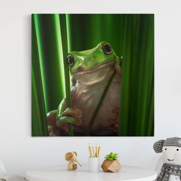 Impression sur toile - Merry Frog