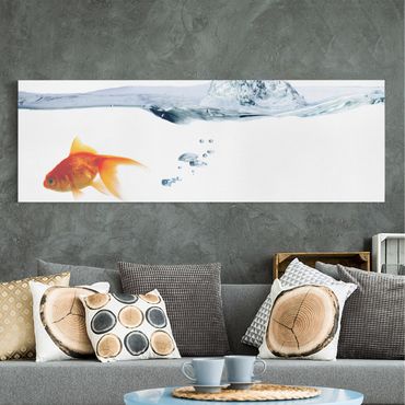 Impression sur toile - Goldfish