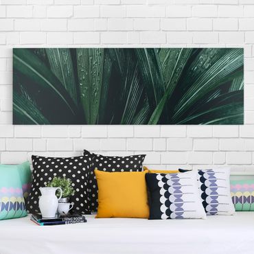 Impression sur toile - Green Palm Leaves