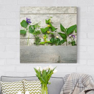 Impression sur toile - Medicinal and Meadow Herbs