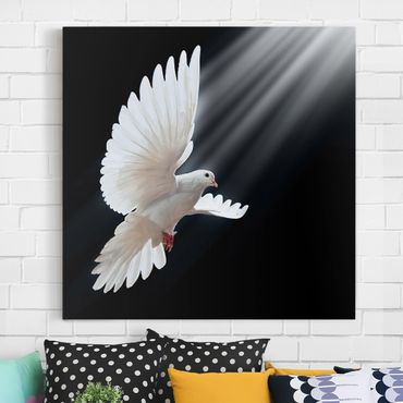 Impression sur toile - Holy Dove