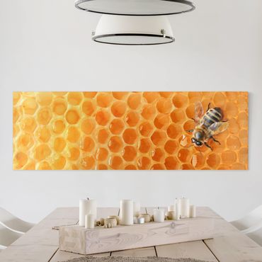 Impression sur toile - Honey Bee