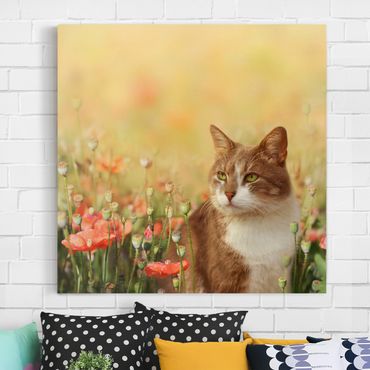 Impression sur toile - Cat In A Field Of Poppies