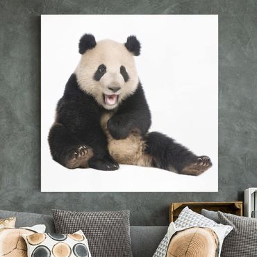 Impression sur toile - Laughing Panda