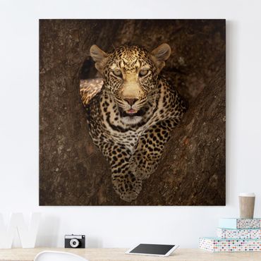 Impression sur toile - Leopard Resting On A Tree